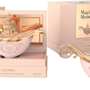 Magical Moment Dream