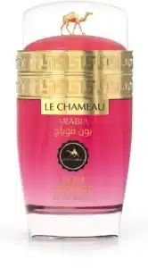 LE CHAMEAU ARABIA BON VOYAGE
