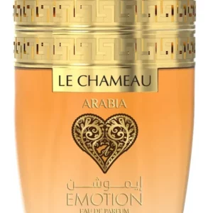 LE CHAMEAU ARABIA EMOTION