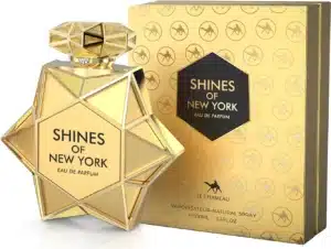 LE CHAMEAU SHINES OF NEWYORK