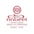 NABEEL LOGO