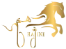 Hajine